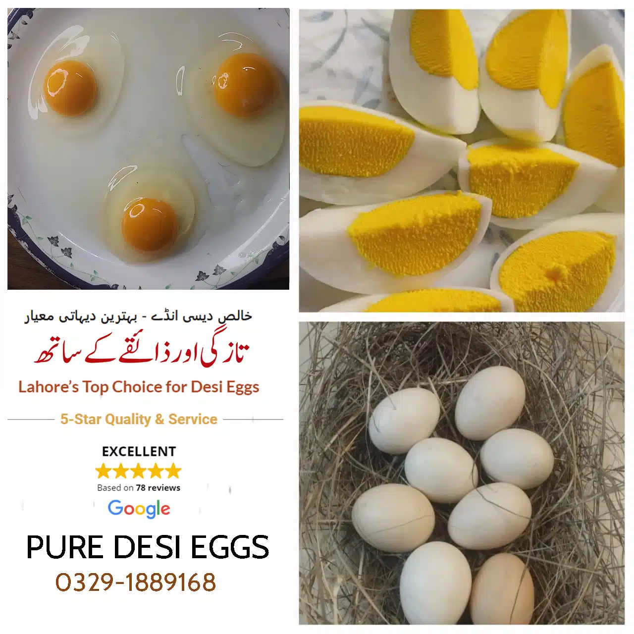 Pure desi eggs — photo 2